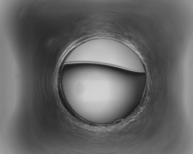 X0000116430007200912081230