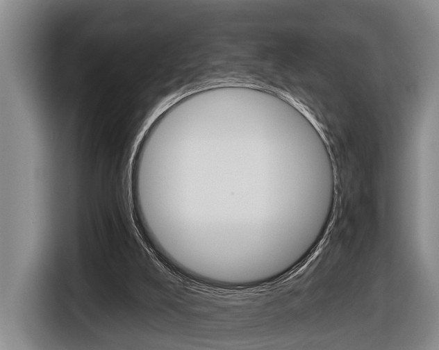 X0000116430008200912081230