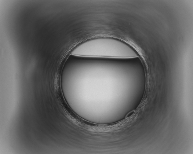 X0000116430009200912081230