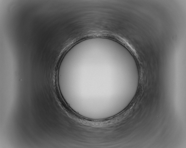 X0000116430010200912081230