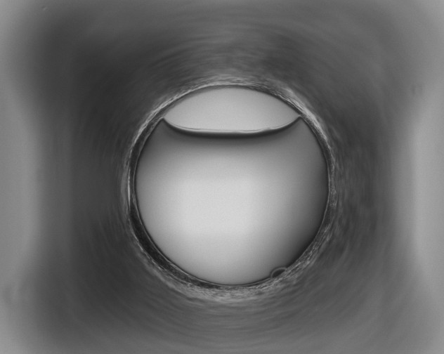 X0000116430011200912081230