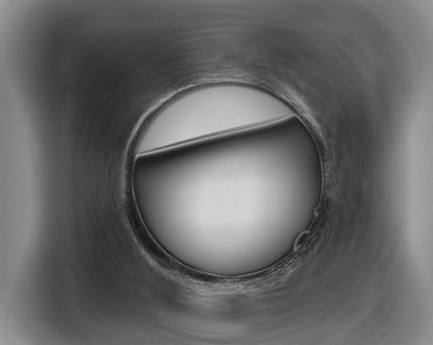 X0000116430012200912081230