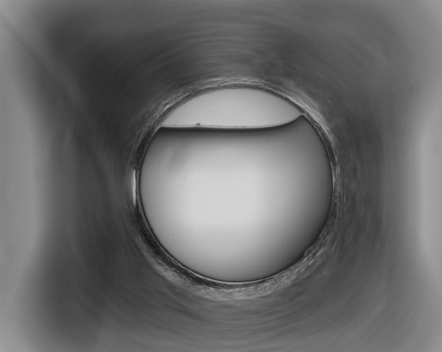 X0000116430013200912081230