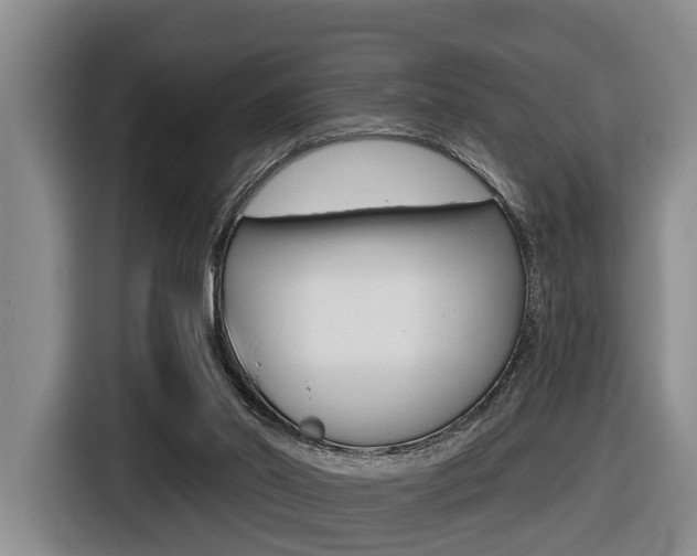 X0000116430014200912081230