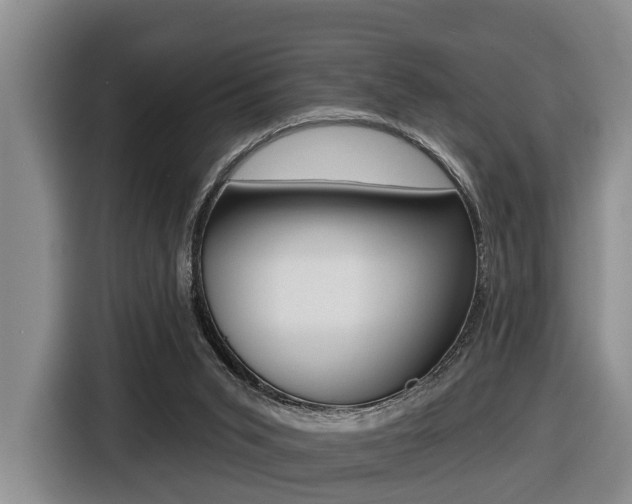 X0000116430015200912081230