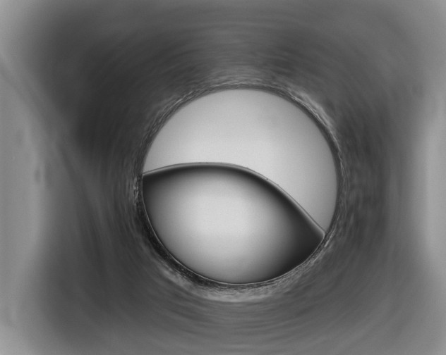 X0000116430017200912081229