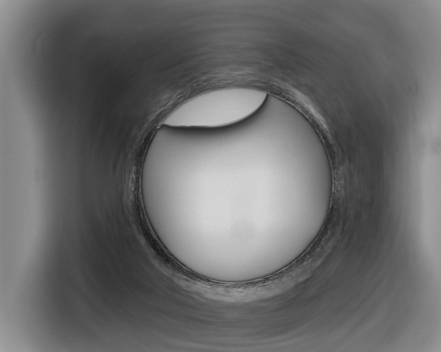 X0000116430018200912081229