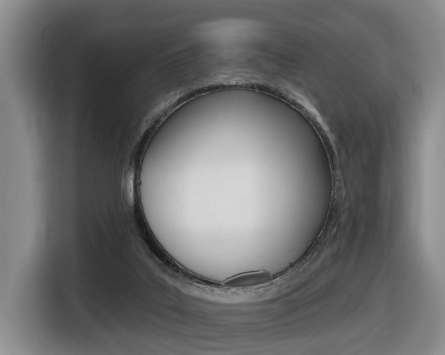 X0000116430019200912081229