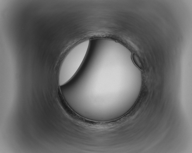 X0000116430020200912081229
