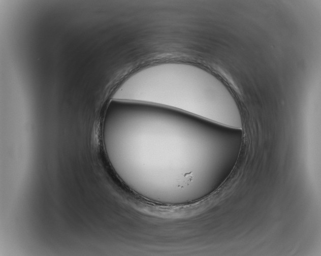 X0000116430023200912081229