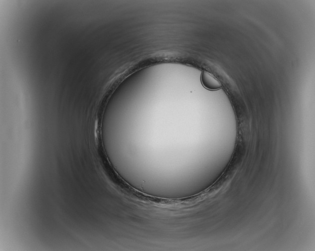 X0000116430024200912081229