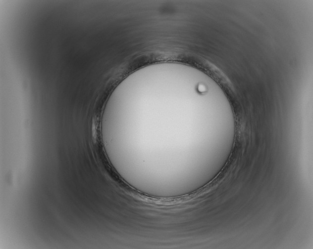 X0000116430026200912081229