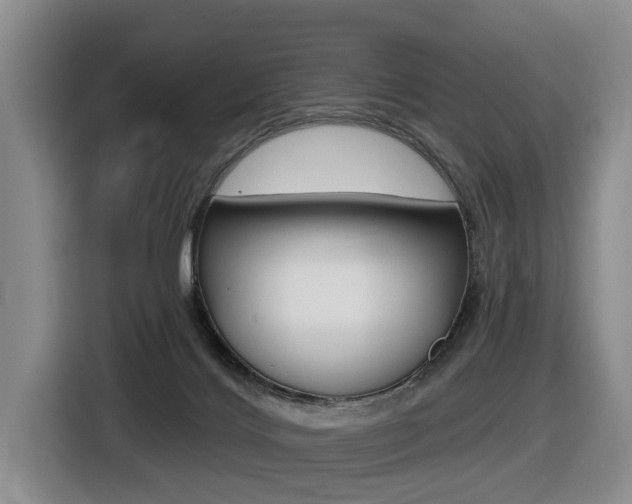 X0000116430028200912081229
