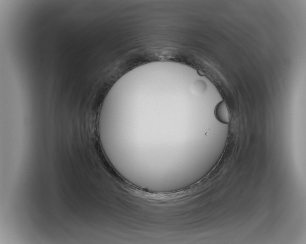 X0000116430030200912081229