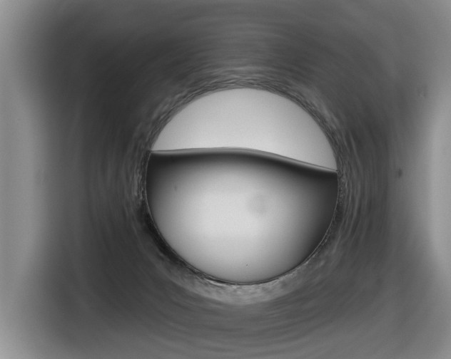 X0000116430031200912081229