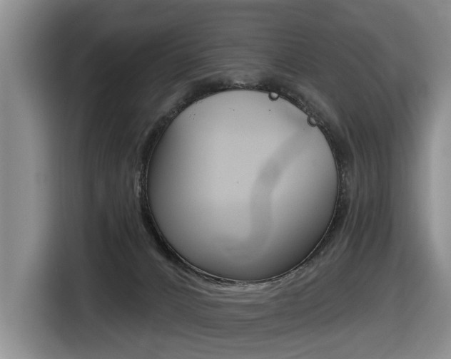 X0000116430032200912081229