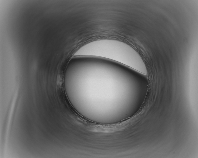 X0000116430033200912081229