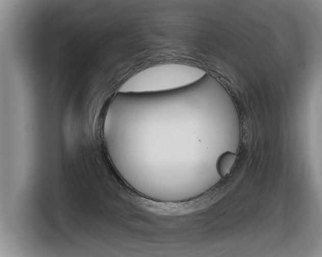 X0000116430034200912081229