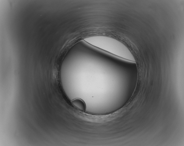 X0000116430035200912081229