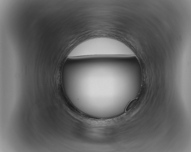 X0000116430036200912081229