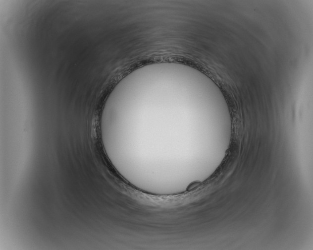 X0000116430038200912081229