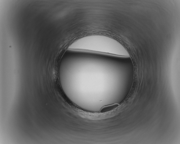 X0000116430039200912081229