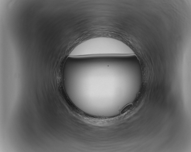 X0000116430040200912081229