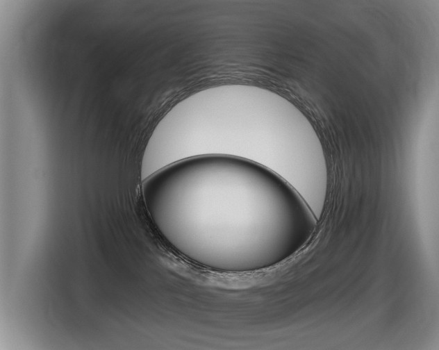 X0000116430041200912081229