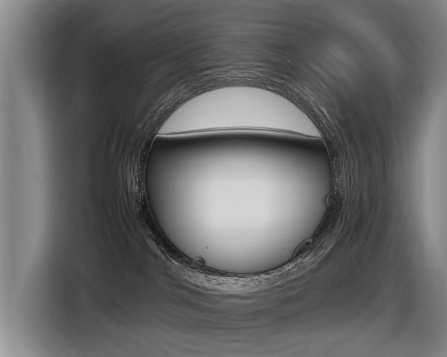X0000116430044200912081229