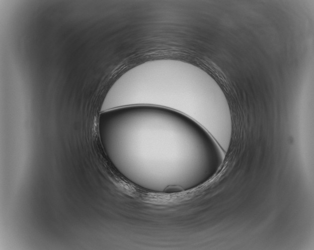 X0000116430045200912081229