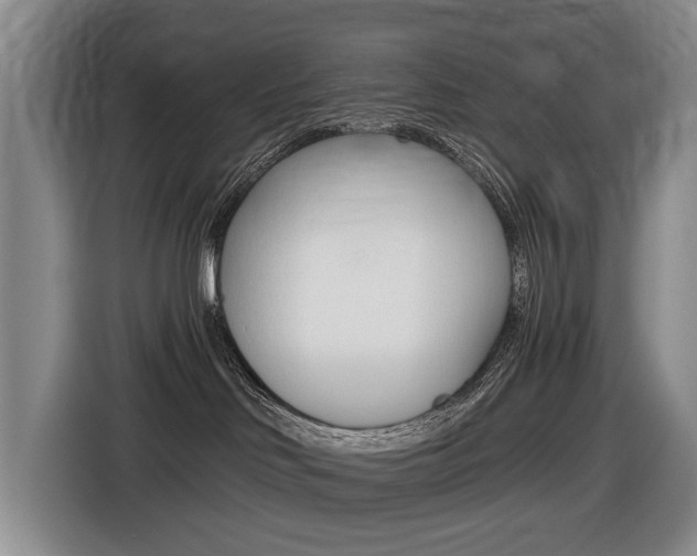 X0000116430046200912081229
