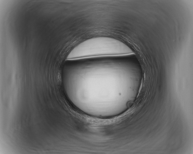 X0000116430048200912081229