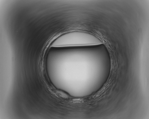 X0000116430050200912081228
