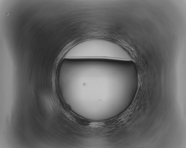 X0000116430051200912081228