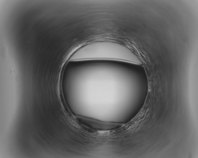 X0000116430052200912081228