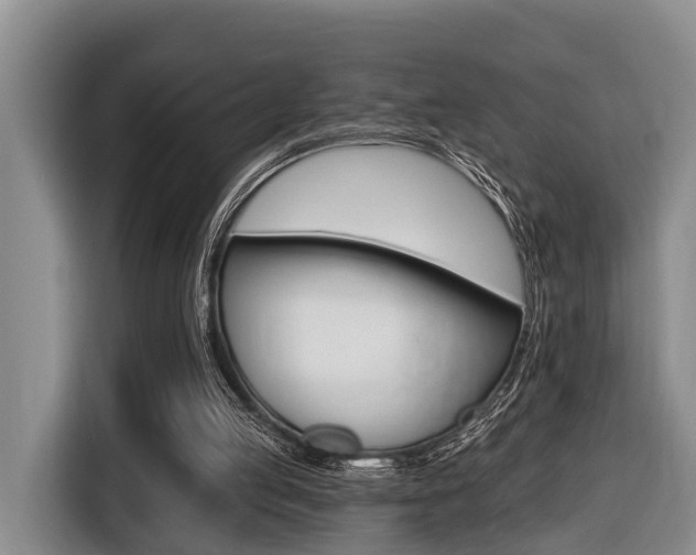 X0000116430053200912081229