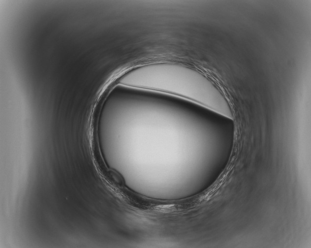 X0000116430054200912081229