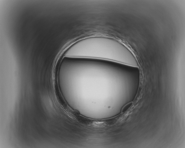 X0000116430055200912081229