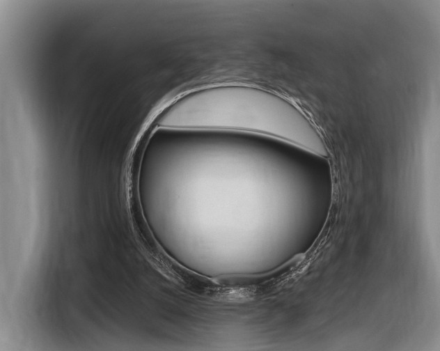 X0000116430056200912081229