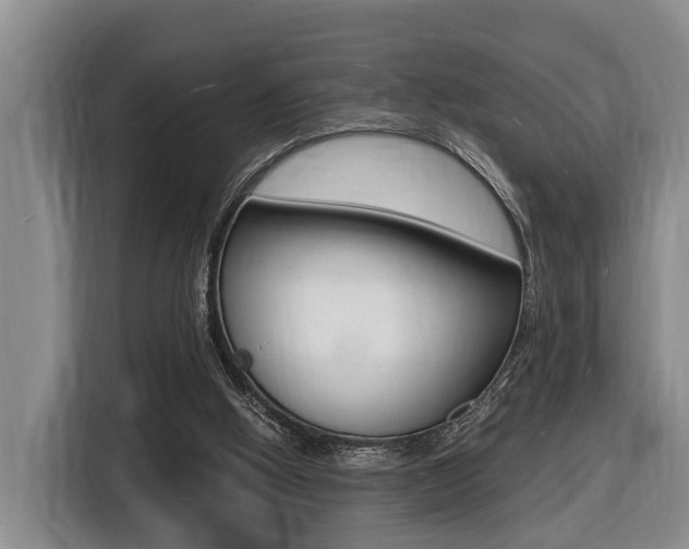 X0000116430058200912081229