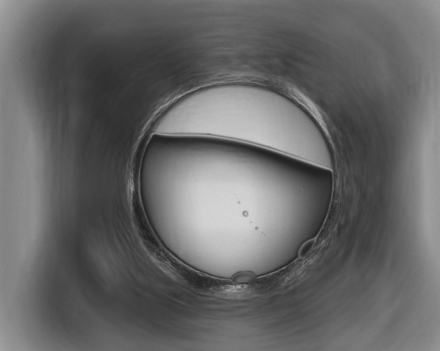 X0000116430059200912081229