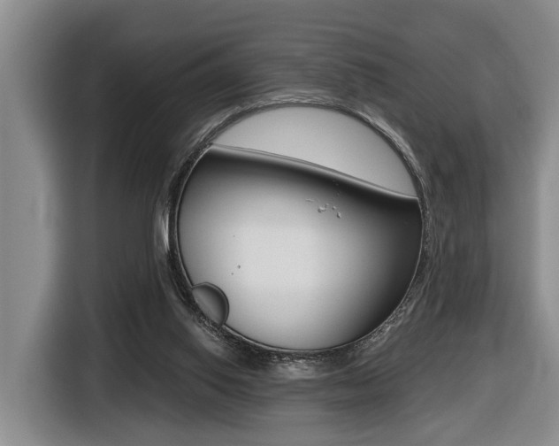 X0000116430062200912081229