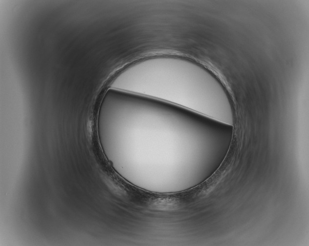 X0000116430063200912081229