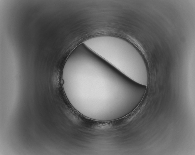 X0000116430065200912081229
