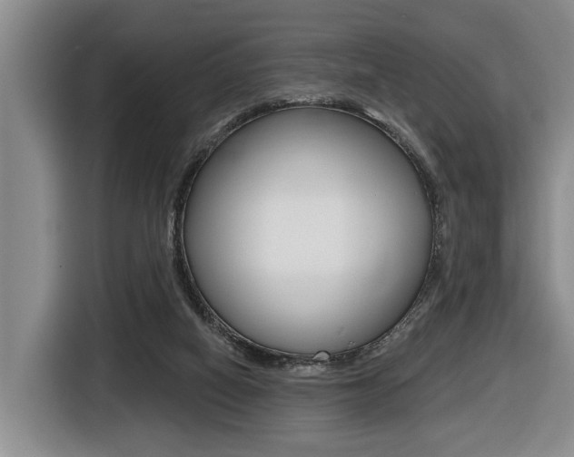 X0000116430066200912081229