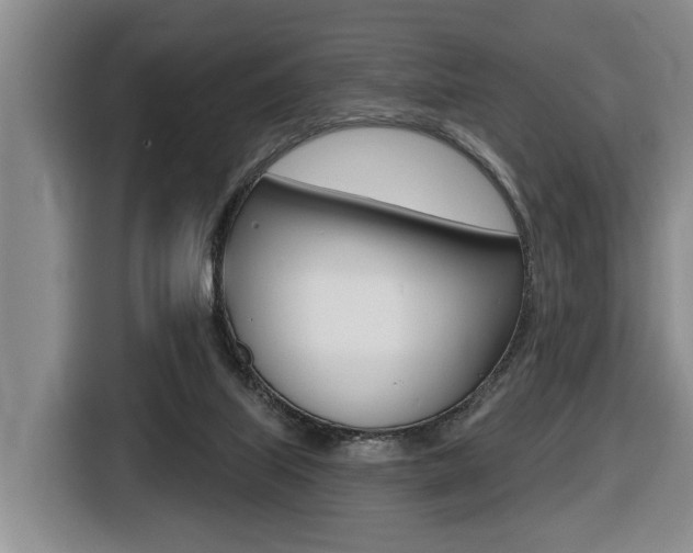 X0000116430067200912081229