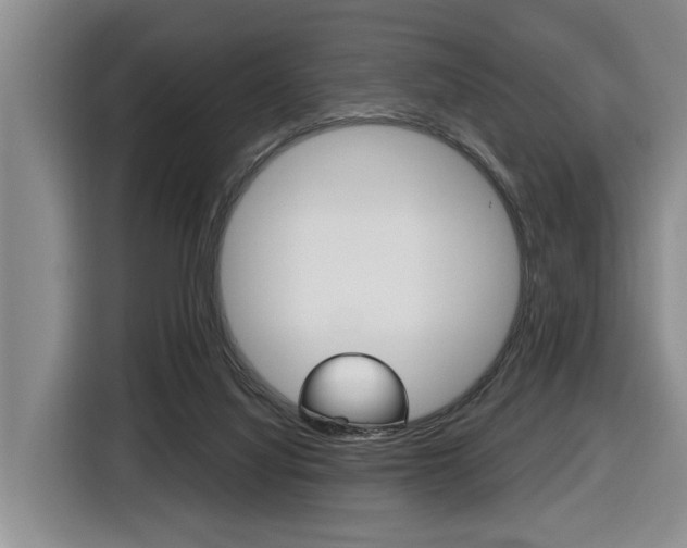 X0000116430068200912081229
