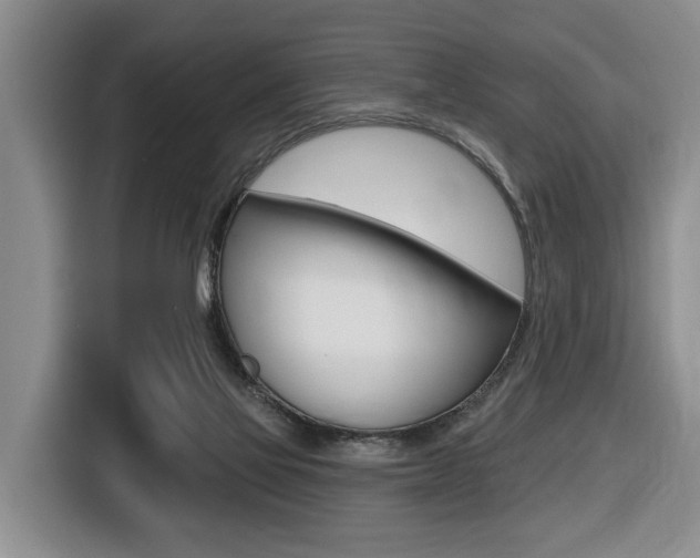X0000116430069200912081229