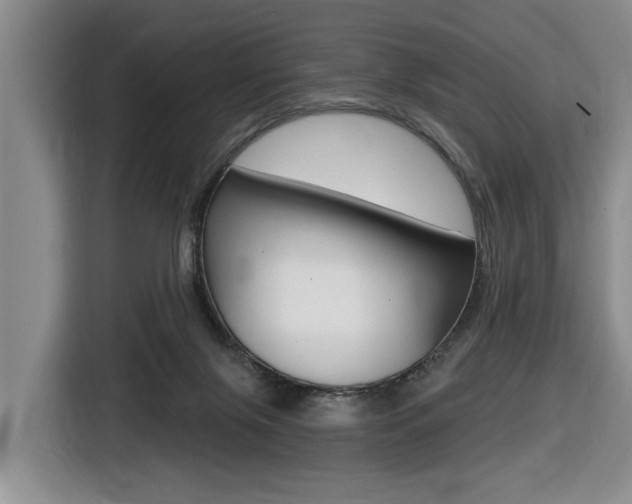 X0000116430071200912081229