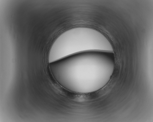 X0000116430074200912081229